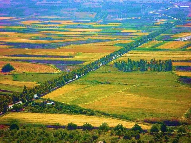 Bekaa